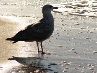 IMG_4067.JPG