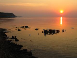 IMG_4319.JPG