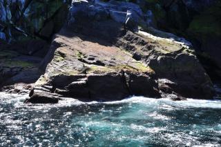 DSC_0626.JPG