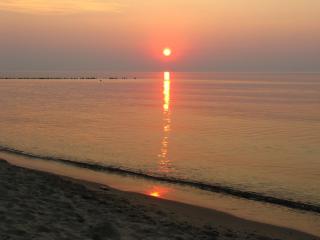 IMG_4326.JPG