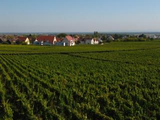IMG_9916.JPG