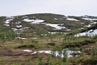 DSC_1727.JPG