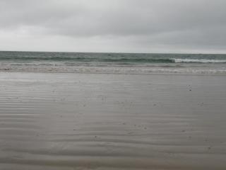 IMG_9269.JPG