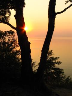IMG_4305.JPG