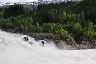DSC_1776.JPG