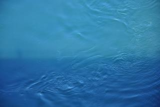 DSC_1623.JPG