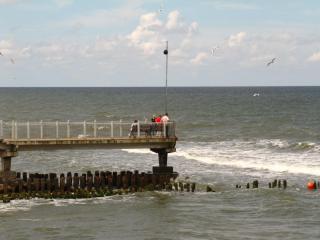 IMG_3986.JPG