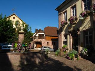 IMG_9930.JPG