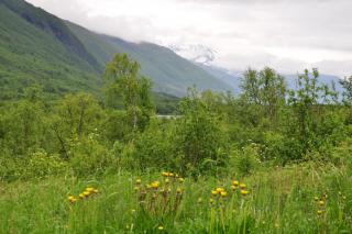 DSC_0853.JPG