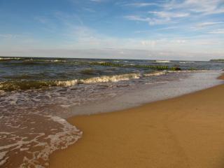 IMG_4038.JPG