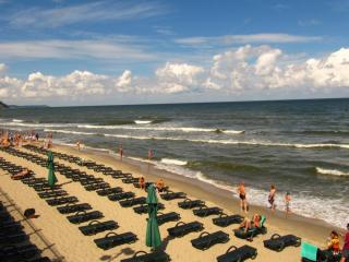 IMG_3913.JPG