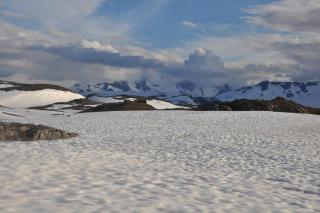 DSC_2009.JPG