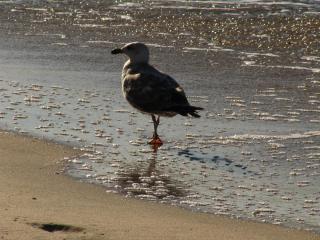 IMG_4061.JPG