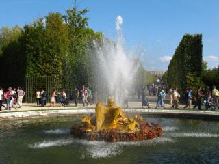 IMG_9790.JPG