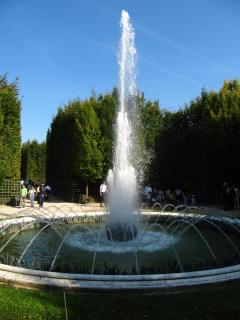 IMG_9786.JPG