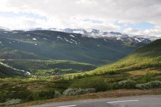 DSC_1976.JPG