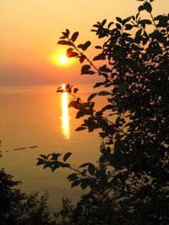 IMG_4310.JPG