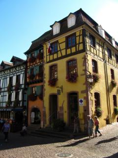 IMG_9936.JPG
