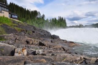 DSC_1806.JPG