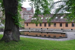 DSC_2516.JPG