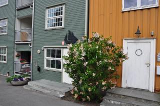 DSC_1888.JPG