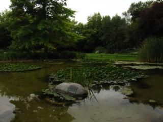 IMG_9079.JPG