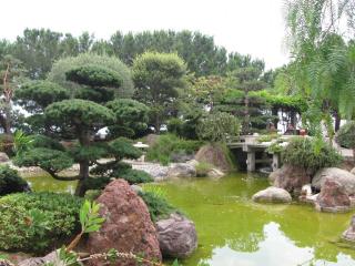 IMG_1074.JPG