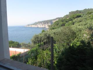 IMG_2485.JPG