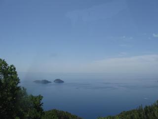 IMG_2204.JPG