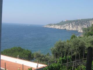 IMG_2923.JPG
