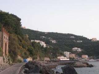 IMG_2149.JPG