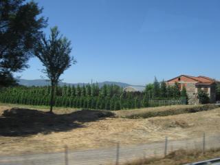 IMG_2066.JPG