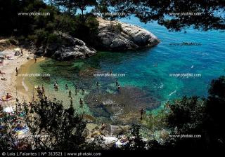 cala-del-pi-platja-d-aro_313521.jpg