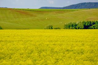 Карловы Вары май 2012 (270).jpg