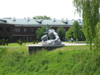 558.JPG