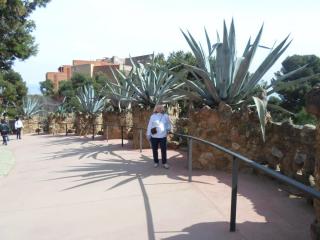 SAM_0845.JPG