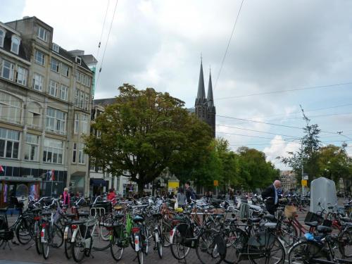 P1030110.JPG