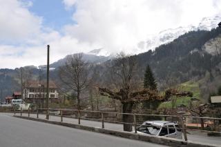 DSC_0010.JPG