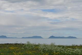 DSC_0764.JPG