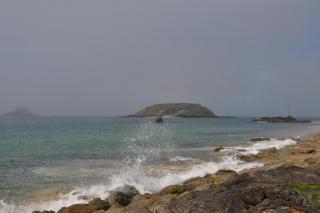 DSC_0942.JPG