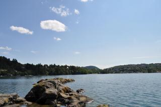 DSC_0247.JPG