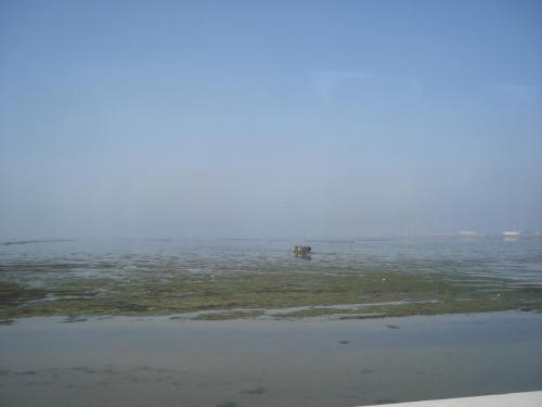 DSC05493.JPG