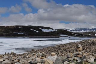DSC_0151.JPG