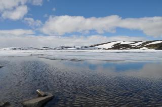 DSC_0154.JPG