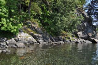 DSC_0243.JPG