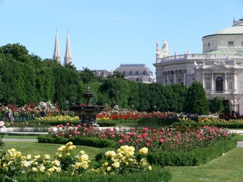Wien_Volksgarten_Votivkirche_Burgtheater_Rosenblüte.jpg