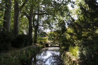 DSC_0209.JPG