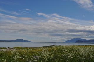 DSC_0760.JPG