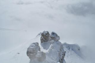 DSC_1926.JPG