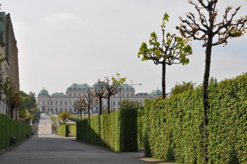 DSC_0461.JPG